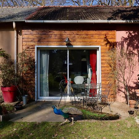 La Faisanderie Saint-Florent-sur-Cher Экстерьер фото